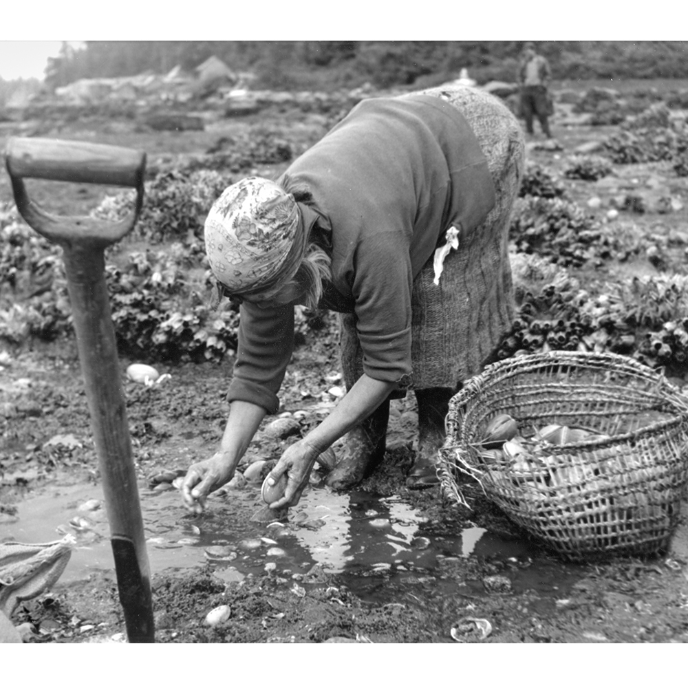 Clam Digger » The Great Highway Outer Sunset Art Gallery in San Francisco